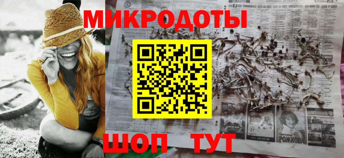 Галлюциногенные грибы Psilocybe Минеральные Воды