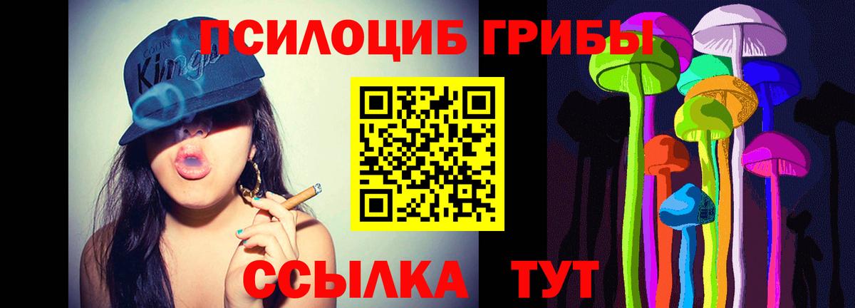 Псилоцибиновые грибы мухоморы  даркнет сайт  Минеральные Воды  Галлюциногенные грибы ЛСД  Вход с VPN 